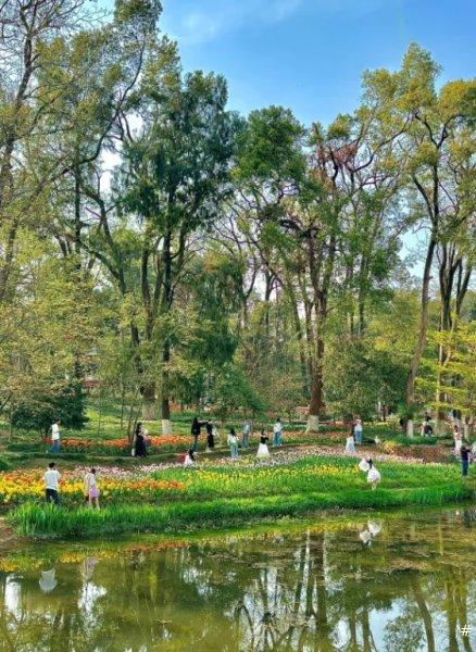 植物园门票 植物园门票